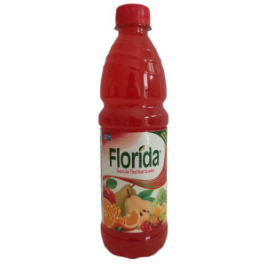 Florida Bebida de Ponche de Frutas Pet, 500 ml